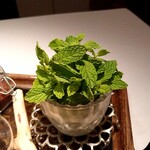 AKI NAGAO - ミントティを選びました。