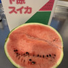 サンハート下原スイカ直売所
