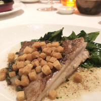 Benoit Alain Ducasse - 