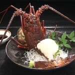 倭庵 黒石 - 伊勢海老のお造り