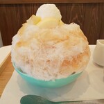 木下茶園 - 横からの図