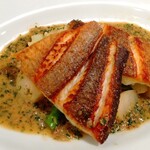 キヴィシルト - 