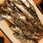 リゾートヒルズ豊浜 蒼空の風 - 地引網でとれたゴマサバの煮付け。とったサバ全て料理していただけるとは、、、！