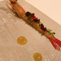 ジョンティ アッシュ - 