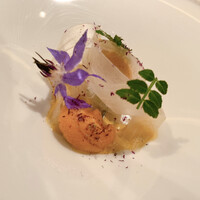 ジョンティ アッシュ - 