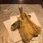 セルサルサーレ - 