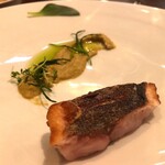 セルサルサーレ - 