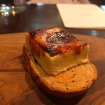 セルサルサーレ - 