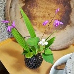 いろり　じねん - 店内のご紹介です⑤（6/16UP）