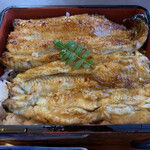 Ikiunagi - 