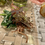 カーサ カルマ - 隠れてる