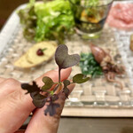 カーサ カルマ - ♡