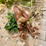 カーサ カルマ - わーれーわーれーわーうーちゅーうじーんーだー