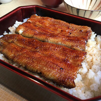 天然うなぎ しま村 - 天然 松 ¥8,800 天然うなぎ しま村 - 天然 松 ¥8,800