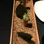 プレヴナンス - 