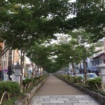 大三 - 段かずらの桜も大きくなったなぁ・・