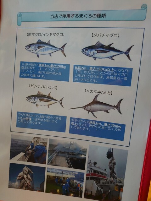特上まぐろ三色丼1600円 まぐろ屋 明神丸 宮城県牡鹿郡女川町 By 讃岐そば まぐろ屋 明神丸 マグロヤ ミョウジンマル 女川 海鮮丼 食べログ