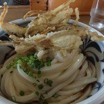 うどんさかい - ごぼう天ぶっかけ