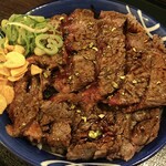 肉食堂 最後にカツ。 - 俺のステーキ丼（アップ）