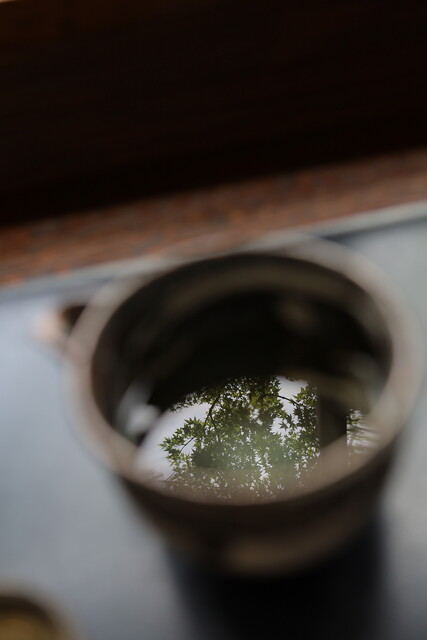 Arashiyama Yoshimura photo 3