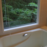 Oirase Keiryuu Hoteru - 貴賓室のお風呂。普通だけど景色あり
