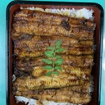 菊林 - 