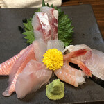 Shou Kaisei - イシナギ、金目鯛、マゴチ、キジハタ、赤海老、サゴチ