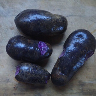 和雑貨 フォトスタジオ なごみ_0