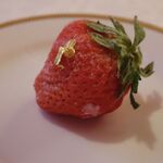 資生堂パーラー - 山梨県 吉田市産“富士夏媛”のプレミアムストロベリーパフェ