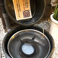 入谷鬼子母神門前のだや - 本日の提供鰻（中庭にて）