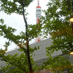 Sushi Hamashiba - 窓越しに東京タワーが半分
