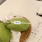 カーサ カルマ - じょうばんつりしさん完敗てすね