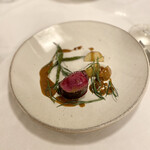 カーサ カルマ - 夏蝦夷シカ