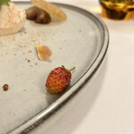 カーサ カルマ - わいるどべりー