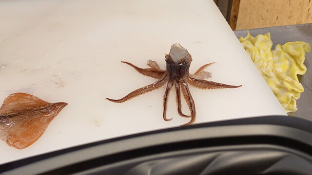 函館朝市 駅二市場 活いか釣り広場 函館 魚介料理 海鮮料理 食べログ 函館朝市 駅二市場 活いか釣り広場 函館 魚介料理 海鮮料理 食べログ