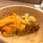 鮨処 多田 - ウニのちょっと丼(利尻 礼文のバフンウニと小樽のムラサキウニ) 断層
