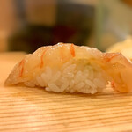 鮨処 多田 - ボタンエビ ヅケ