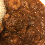 FISH - 大辛チキンカレー接写！