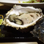 麺酒屋 蛸料理 一龍亭 - 岩ガキ