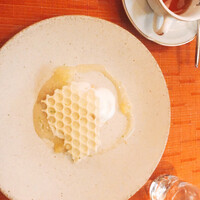 スプレンディード - 