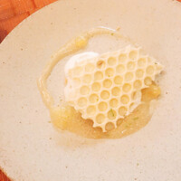 スプレンディード - 