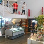 NORTH FARM STOCK - 店内③