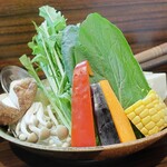 Kiwaminiku Shabuichi - 牛しゃぶコースの野菜、豆腐など