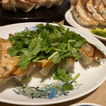 餃子販売所 南森町いち五郎 - Wパクチー餃子