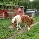 ジャックのパン屋 - 