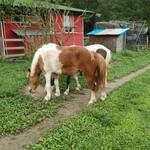 ジャックのパン屋 - 