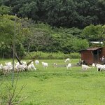 ジャックのパン屋 - 