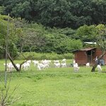 ジャックのパン屋 - 