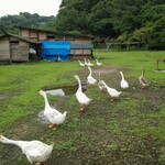 ジャックのパン屋 - 