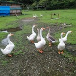 ジャックのパン屋 - 